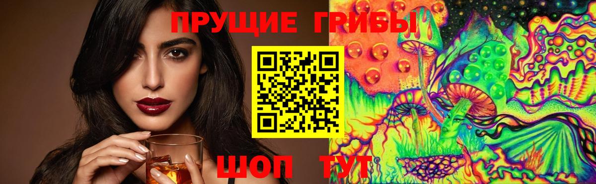 где продают   Вход с VPN  Каменск-Шахтинский  Галлюциногенные грибы GOLDEN TEACHER 